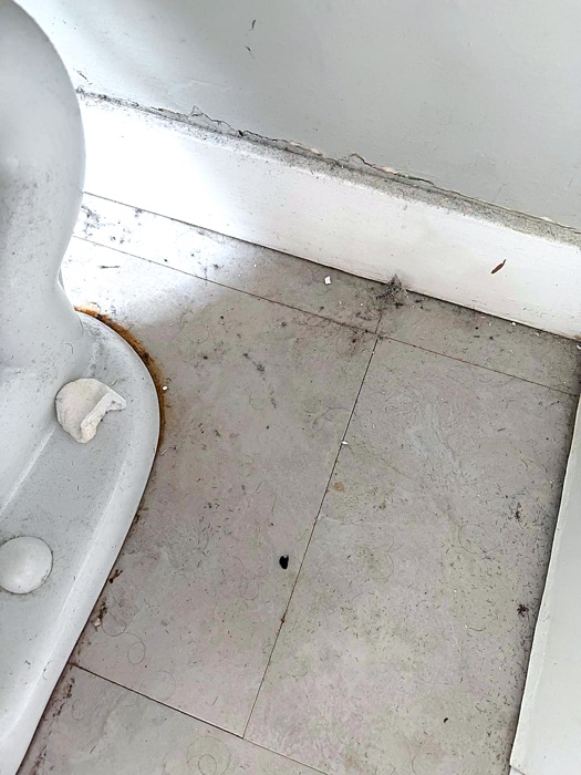 Bathroom tile floor with dirt and debris around the toilet base before a NeatNow clean in Calgary